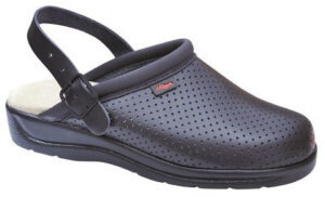 Zueco Pisa Correa Dian